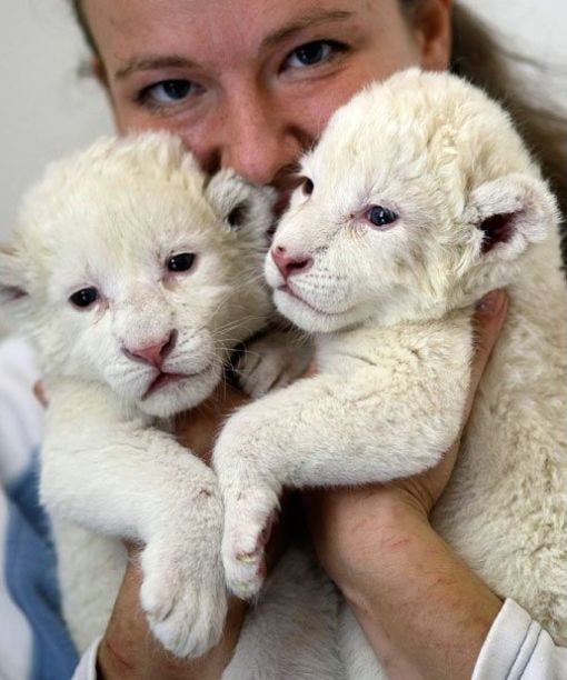 Daily picdump (117 pics)