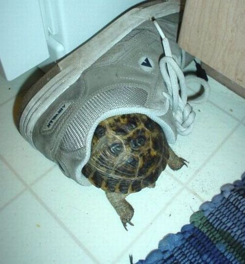 Daily picdump (117 pics)