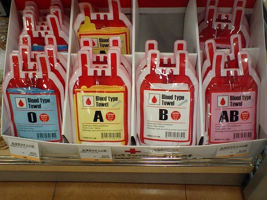 A house of blood (11 pics)