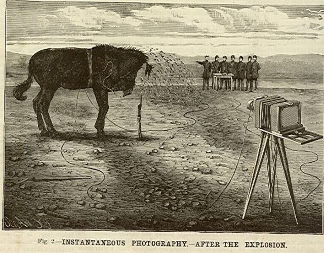 Bir Katırı Dinamitle Patlatıp Fotoğraflamak