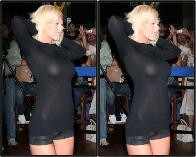 Miss Bikini USA State Finals 2008 in 3D (25 pics)