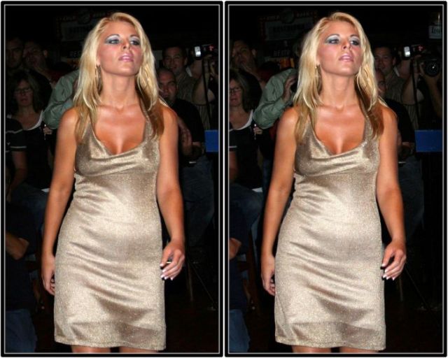 Miss Bikini USA State Finals 2008 in 3D (25 pics)