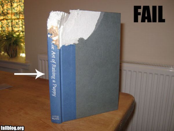 Epic fails. The best of the best. Part 3 (77 pics)