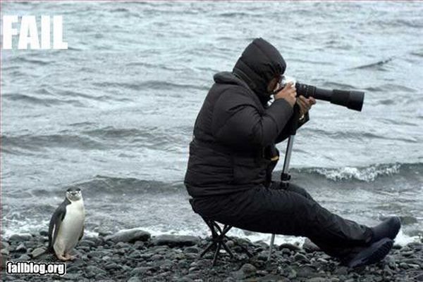 Epic fails. The best of the best. Part 3 (77 pics)