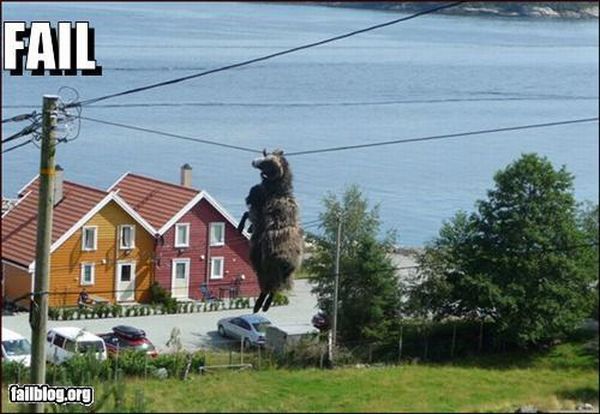 Epic fails. The best of the best. Part 3 (77 pics)
