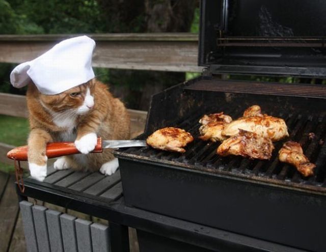 Daily picdump (108 pics)