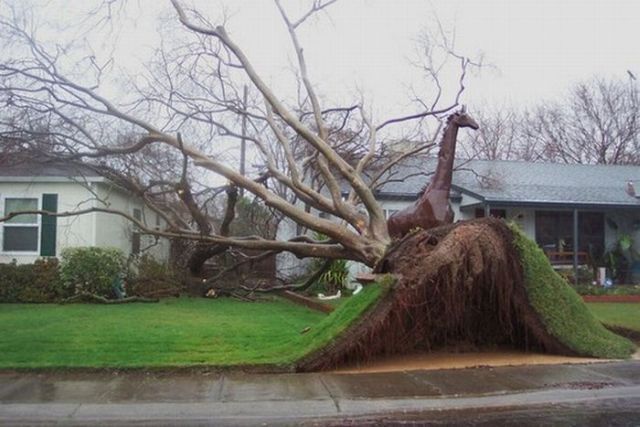 Daily picdump (108 pics)