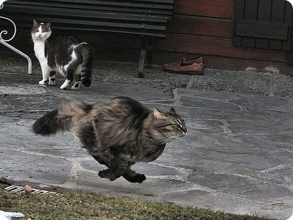 Daily picdump (108 pics)