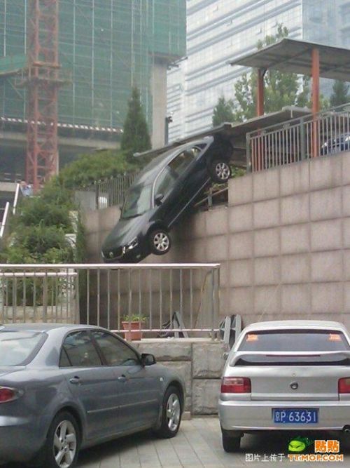 Daily picdump (108 pics)