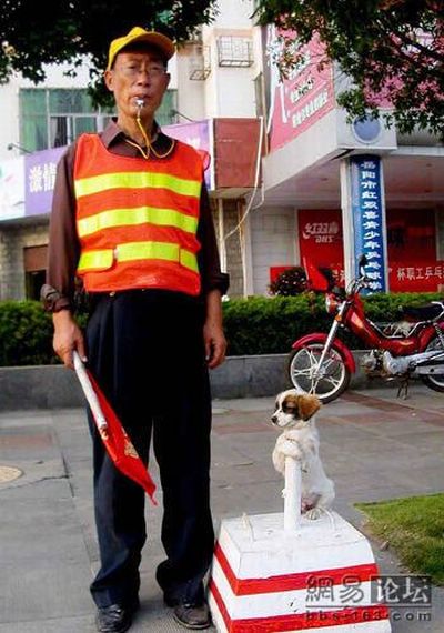Daily picdump (108 pics)