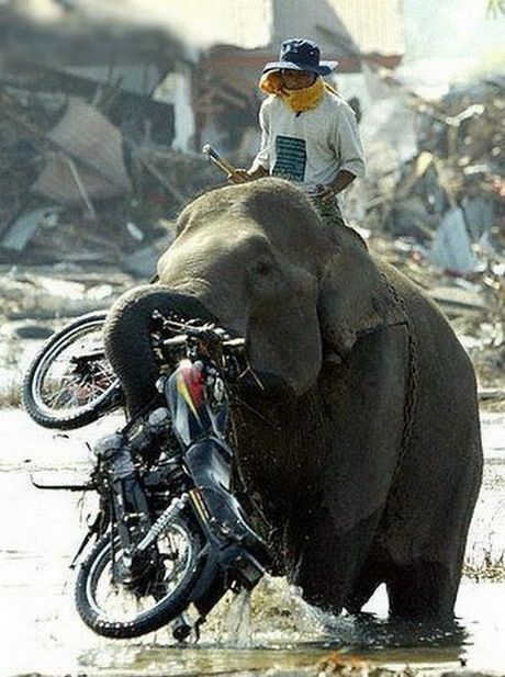 Daily picdump (108 pics)