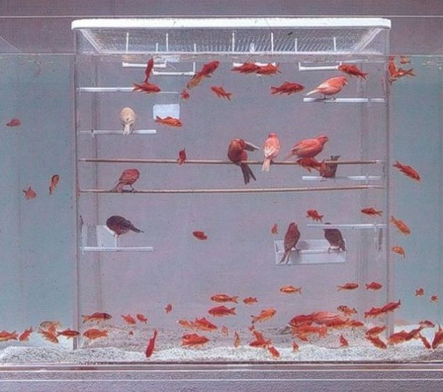 Daily picdump (108 pics)