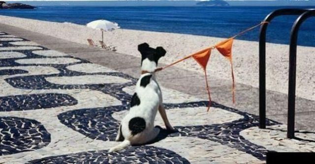 Daily picdump (108 pics)