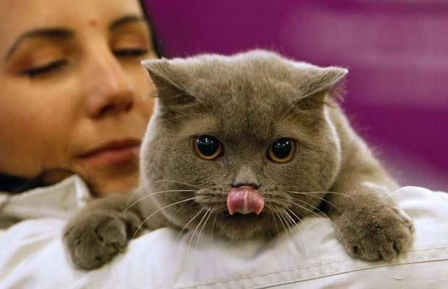 Daily picdump (108 pics)