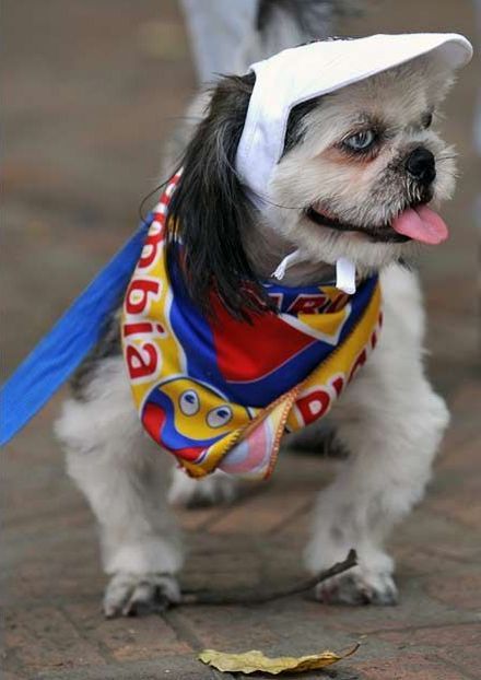 Daily picdump (108 pics)