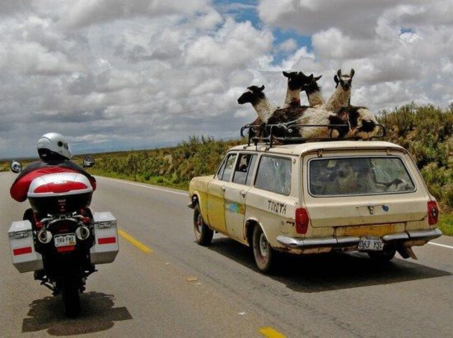 Daily picdump (108 pics)