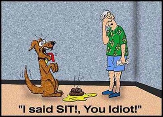 Daily picdump (108 pics)