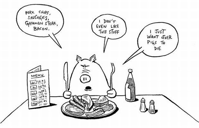 Selfish Pigs (17 pics)