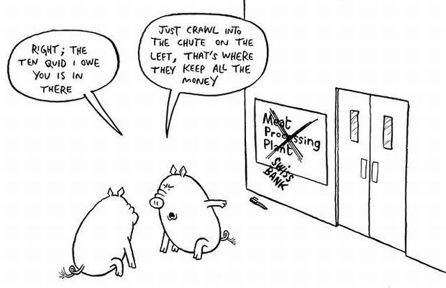 Selfish Pigs (17 pics)