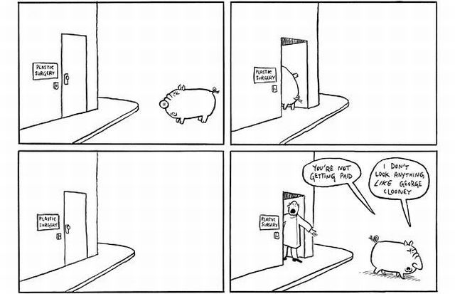Selfish Pigs (17 pics)