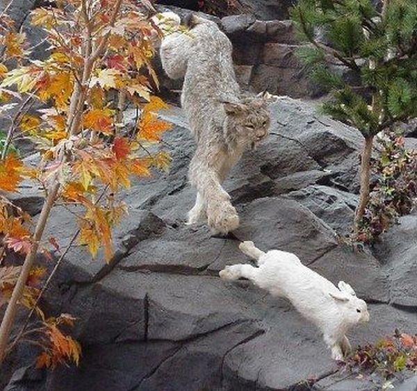 Daily picdump (98 pics)