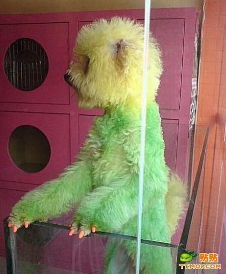 Daily picdump (98 pics)