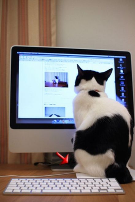 Daily picdump (98 pics)