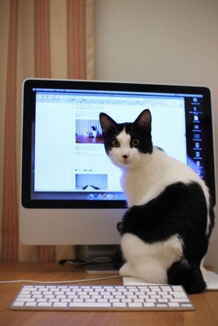 Daily picdump (98 pics)