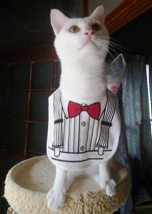 Daily picdump (98 pics)