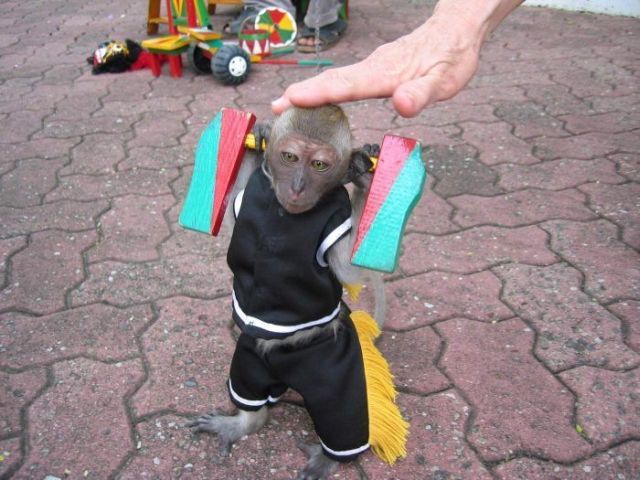 Daily picdump (98 pics)