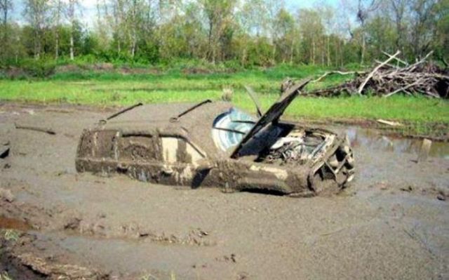 Daily picdump (98 pics)