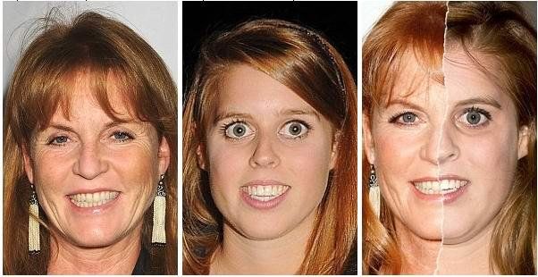 Resemblance between parents and children (9 pics)