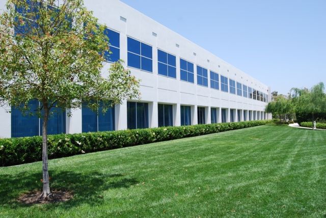 The office of Blizzard (106 pics)