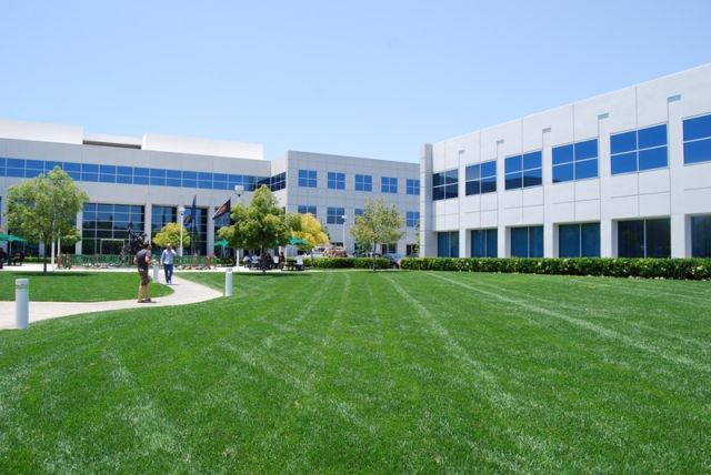 The office of Blizzard (106 pics)