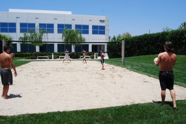 The office of Blizzard (106 pics)