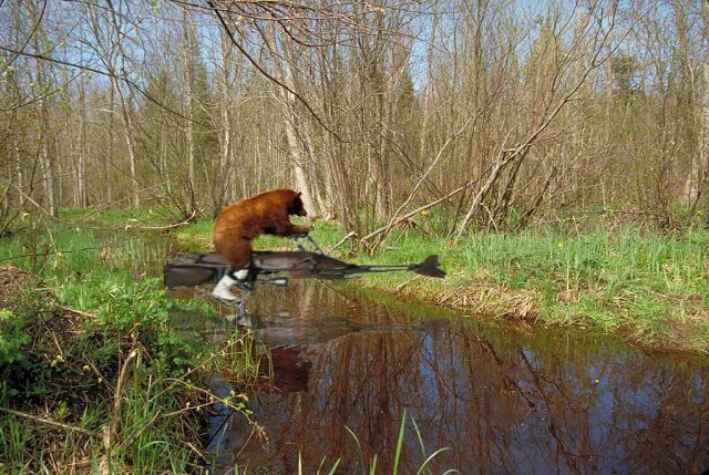 Daily picdump (104 pics)