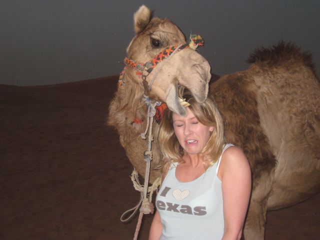 Daily picdump (104 pics)