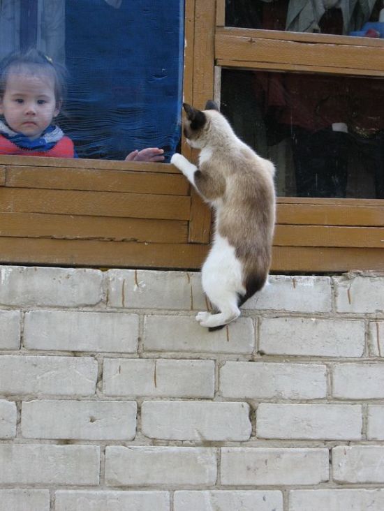 Daily picdump (104 pics)