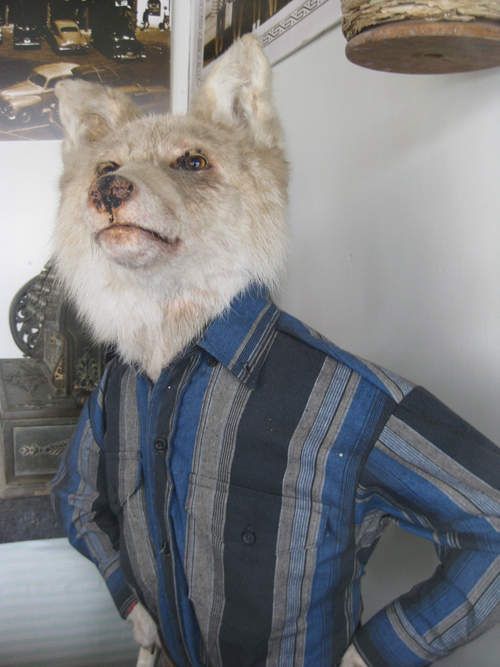 Daily picdump (104 pics)