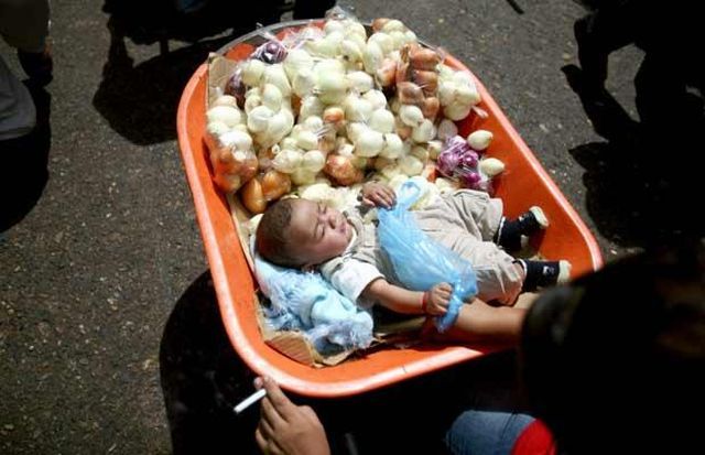 Daily picdump (104 pics)