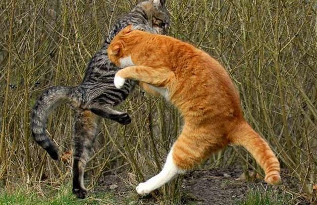 Daily picdump (104 pics)