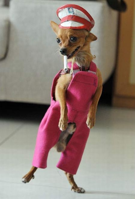 Daily picdump (104 pics)