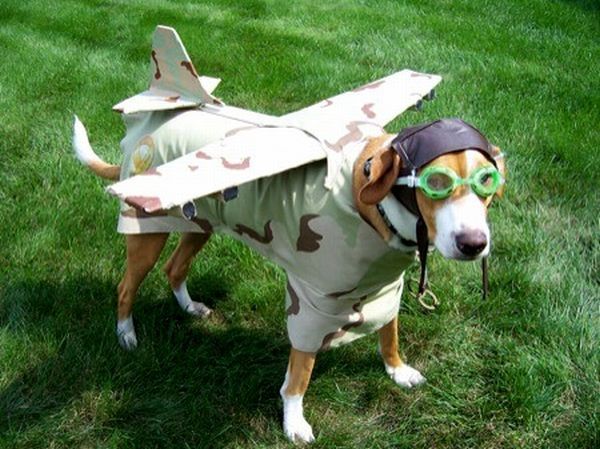 Daily picdump (104 pics)