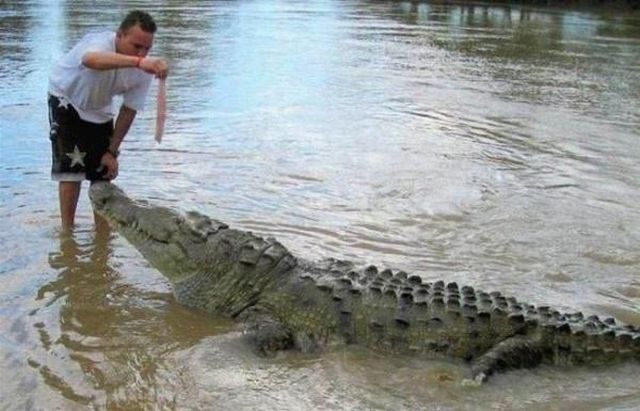 Daily picdump (104 pics)
