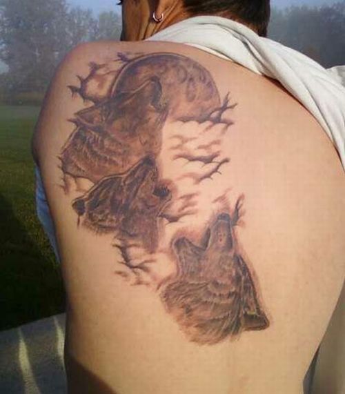 Daily picdump (104 pics)