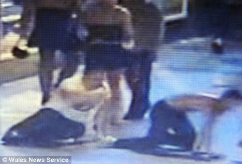 They chose wrong people to pick on… (3 pics + 1 video)