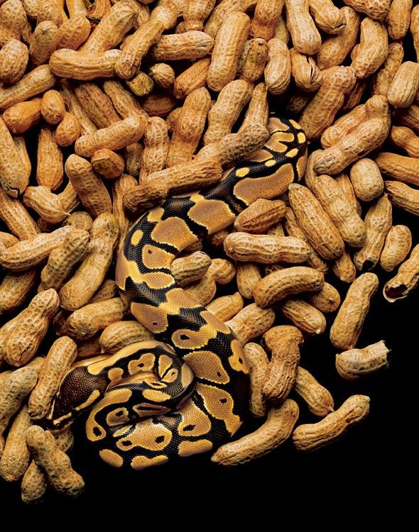 Creative pictures (30 pics)