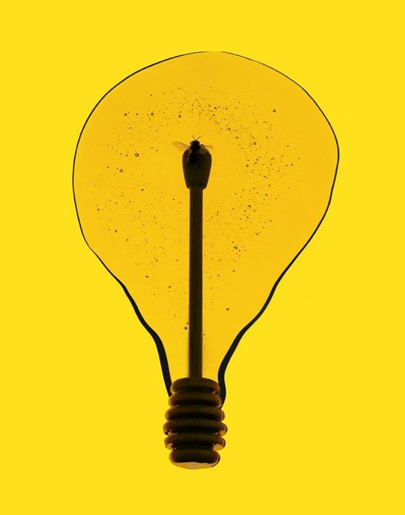 Creative pictures (30 pics)
