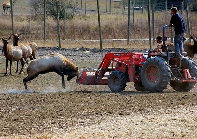 Daily picdump (182 pics)