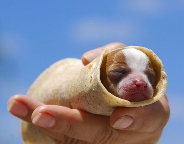 Daily picdump (182 pics)